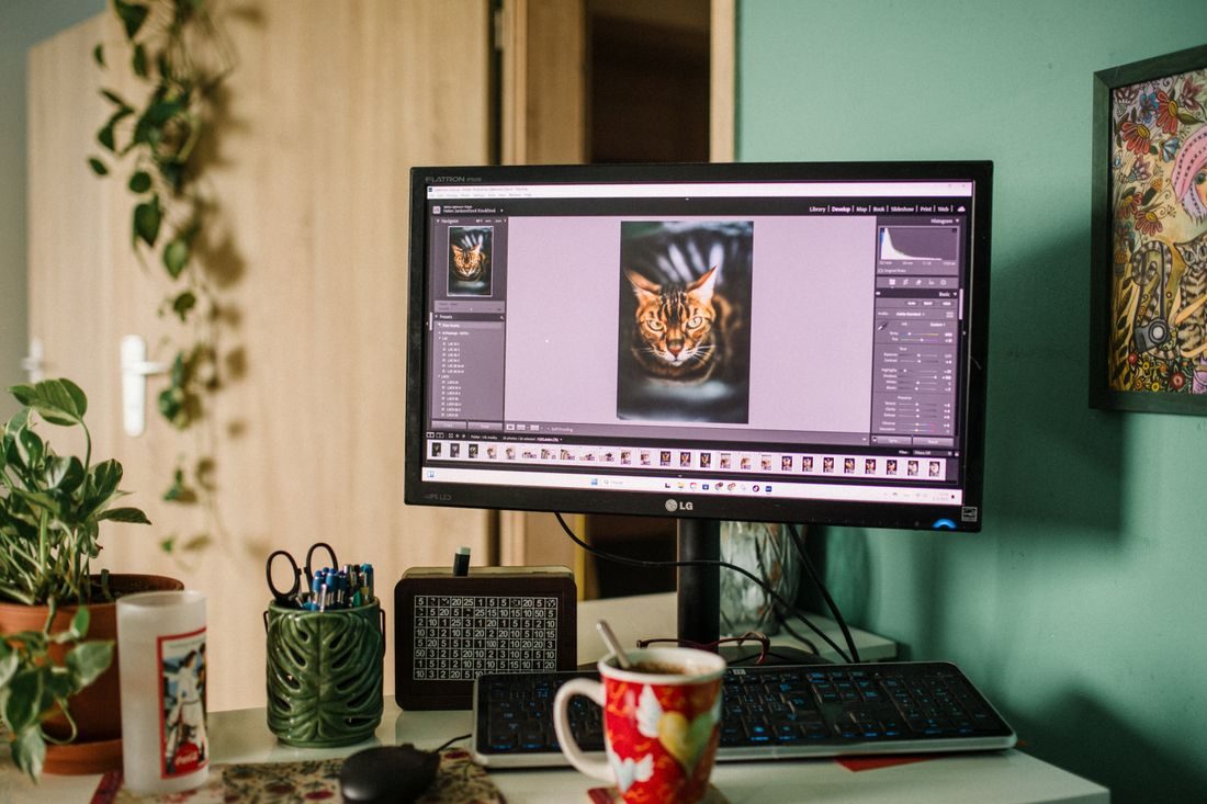 A photo editing monitor on a desk with plants.